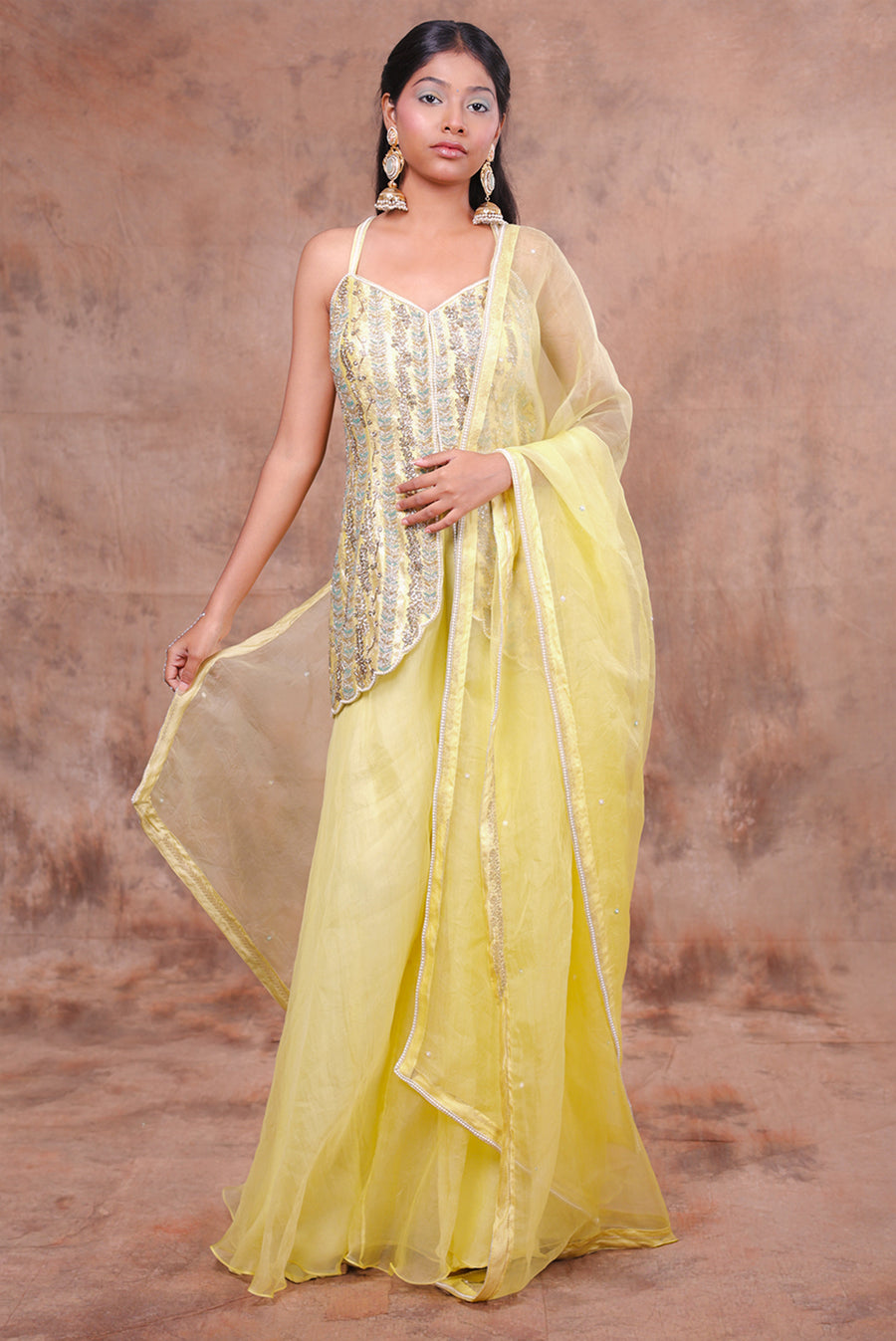 Pastel Yellow Embroidered Anarkali Suit with Sheer Dupatta